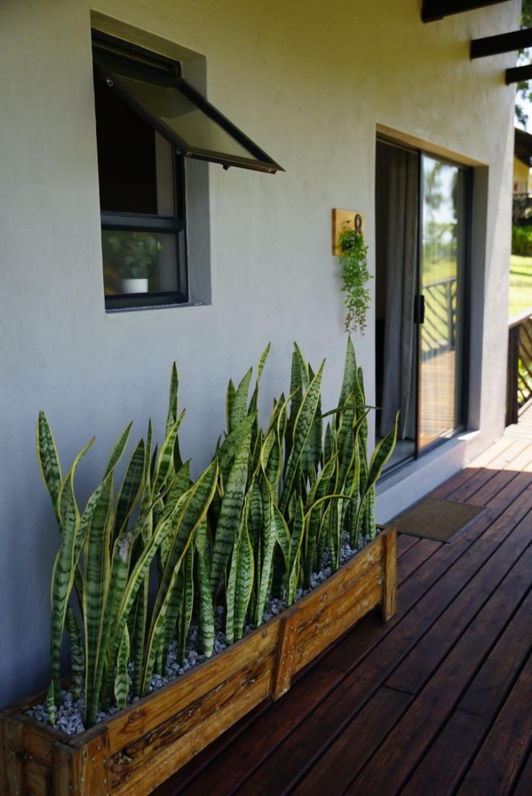 Nabana Lodge Hazyview Extérieur photo